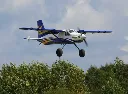 blue_206.webp